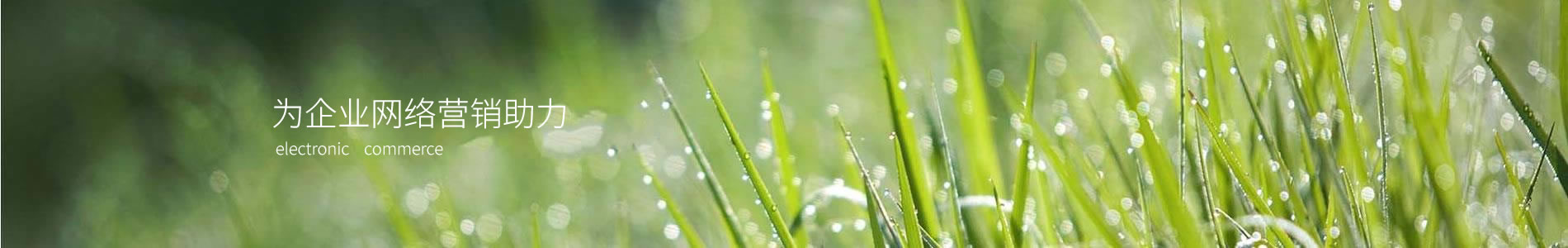 رʯ޹˾
